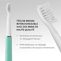 Avis Ailoria PRO SMILE SET Brosse à dents à technologie sonique USB