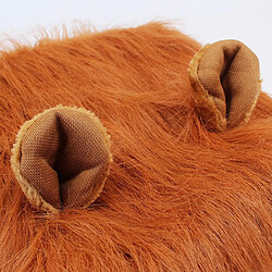 Avis Universal Chien amusant, crine de lion, perruque, chapeau, chat, chien, Halloween, Noël, décoration de fête, costume de chien, jeu de rôle, accessoires pour animaux de compagnie.