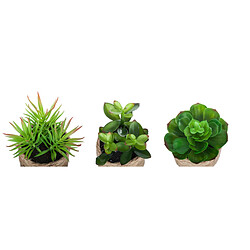 Pegane Lot de 3 plantes vertes artificielles avec pot en corde coloris sable