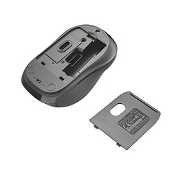 Avis Trust 21192 souris Ambidextre Bluetooth Optique 1600 DPI