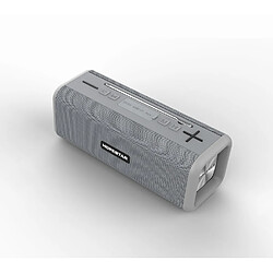 Universal Haut-parleur Bluetooth sans fil étanche Subwoofer extérieur haute puissance Antenne externe TWS Interphone avec FM TF | Gris