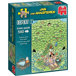 Jumbo- Expert 2-Enjoying a Picnic (500 Pieces) Jigsaw Puzzle, 20090, Multicolore