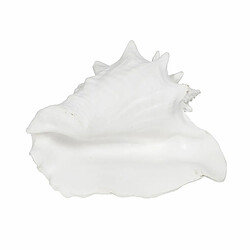 BigBuy Home Figurine Décorative Blanc Conque 21 x 19 x 13 cm