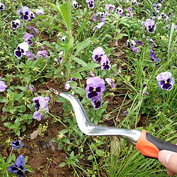 Acheter BESTA Outils de désherbage de jardin Outils de désherbage Extracteur de mauvaises herbes Pissenlit Digger Extracteur Outils de désherbage Meilleur outil pour jardin pelouse (Orange)