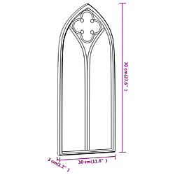 vidaXL Miroir de jardin Noir 70x30 cm Fer pour utilisation extérieure pas cher