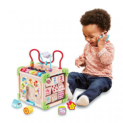 Acheter VTech Cube nature interactif multiactivité