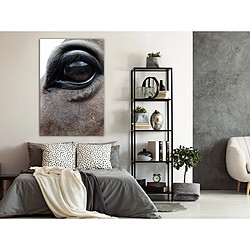 Decoshop26 Des Yeux Honnêtes - 60x90