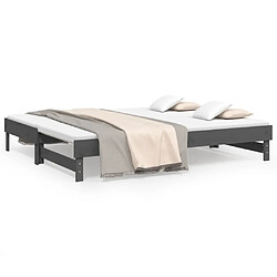 vidaXL Lit coulissant sans matelas gris 2x(80x200)cm