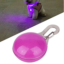 Acheter animal de compagnie chien chat sécurité led clip boucle nuit lumière décor ampoule collier rose