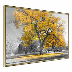 Paris Prix Affiche Murale Encadrée Golden Tree 30 x 20 cm Or