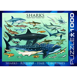 Acheter Eurographics Sharks Puzzle 1000 piAces, Bleu