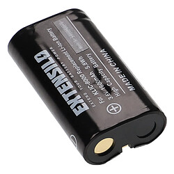 Vhbw EXTENSILO Batterie compatible avec Ricoh Caplio R1V, R1, R1S, R2, RZ1 appareil photo, reflex numérique (1600mAh, 3,6V, Li-ion)