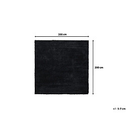 Beliani Tapis épais 200 x 200 cm noir DEMRE