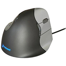 Evolent VM4R Souris Filaire Noir