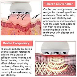 Acheter Chrono Machine de levage facial à ultrasons 5 en 3 Machine de serrage de la peau Lumière LED Radiofréquence EMS Traitement de l'équipement facial Traitement Démaquillant Machine faciale(Blanc)