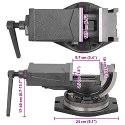 vidaXL Étau inclinable à 2 axes 100 mm pas cher