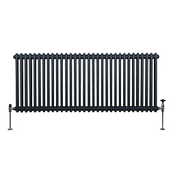 Monstershop Radiateur Traditionnel à Double Colonne – 600 x 1462 mm – Gris Anthracite