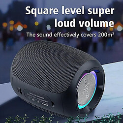 Avis Universal Zélote S53 haut-parleur sans fil portable Bluetooth colonne étanche Hifi sans perte de haut-parleur stéréo