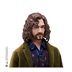 Mattel Harry Potter - Poupee Sirius Black - 25cm