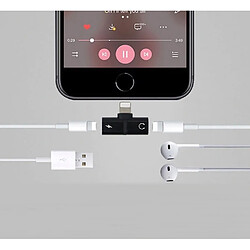 Avis GUPBOO Adaptateur Lightning 2 en 1 pour iPhone iPad,JL1437