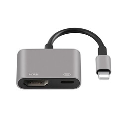 Wewoo Onten 7565S Câble adaptateur vidéo de projecteur iPhone Lightning vers HDMI HDTV pour iPad Gris