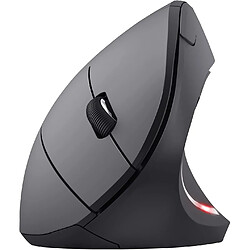 Universal Souris sans fil, USB, verticale, ergonomique, LED, prévention du syndrome de la souris et épicondylite, pour le droitier - Jiujiuso noir