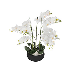 Atmosphera, Createur D'Interieur Orchidée en pot H. 65 cm noir - Atmosphera