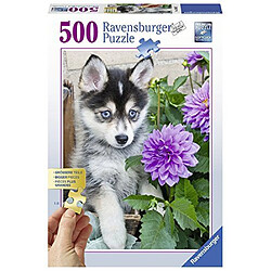 Ravensburger - 136827 - Puzzle ``Charmant Husky`` 500 Pièces