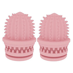 2 Pcs Jouets de nettoyage de dents pour animaux de compagnie Cactus résistant à l'eau