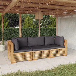 vidaXL Salon de jardin 3 pcs avec coussins Bois de teck solide