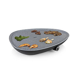 Plancha électrique 2000w 50 x 42cm - 01.103250.01.001 - PRINCESS