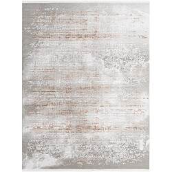 Hadorn Tapis 305x215 gris beige Davos Charme