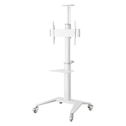 Acheter Kimex Support mobile pour écran Visioconférence 37''-70'' Hauteur 125-160cm Blanc