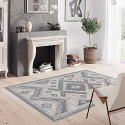 Dutch Lifestyle Tapis Dublin 230x160 cm Gris