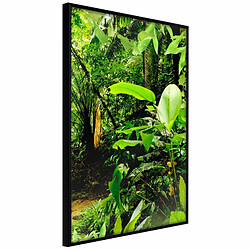 Paris Prix Affiche Murale Encadrée In the Rainforest 20 x 30 cm Noir