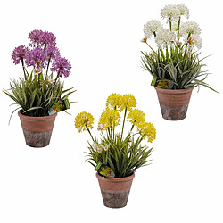 Avis Ibergarden Plante décorative Liège Céramique Plastique 24 x 43 x 24 cm (8 Unités)