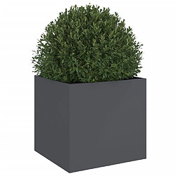 Avis vidaXL Jardinière anthracite 49x47x46 cm acier