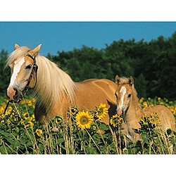 Ravensburger Horse Happiness Jigsaw Puzzle (200 piAces)