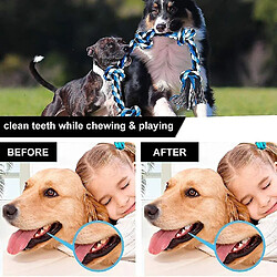 Avis Jouets en corde pour chiens grands et forts, jouet à mâcher de chien durable 5 nœuds de corde pour une mastication agressive, presque indestructible - pour les grandes races et les grands chiens