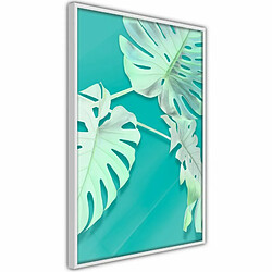 Paris Prix Affiche Murale Encadrée Teal Monstera 20 x 30 cm Blanc