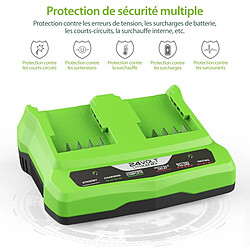 Avis Chargeur de Batterie 24 V pour Greenworks Tools 24 V Compatible avec Toutes Les Batteries de la série Greenworks 24 V 2A