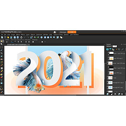Corel PaintShop Pro 2021 Ultimate - Licence Perpétuelle - 1 poste - A télécharger