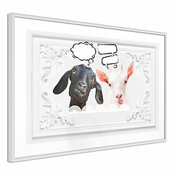 Paris Prix Affiche Murale Encadrée Conversation of Two Goats 45 x 30 cm Blanc