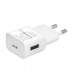 Riffi iLike ITC01 USB 1A Plug Charger Universel pour tous les appareils électroniques mobiles et domestiques 4,7-5,2 V Blanc