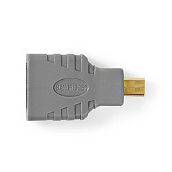 Acheter Alpexe Adaptateur HDMI | Micro-Connecteur HDMI vers HDMI Femelle | Gris