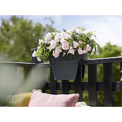 Balconnière Elho Vibia Campana Flower Bridge anthracite - Longueur 40 cm pas cher