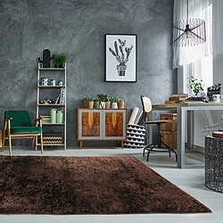 Thedecofactory VIKING - Tapis à poils longs effet soyeux chocolat 120x170