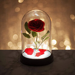 Avis Paladone Lampe d'ambiance LED Rose "La belle et la bête" - Disney sous licence officielle