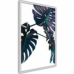 Paris Prix Evergreen Monstera - Blanc Affiche murale encadrée - Papier haute qualité 170 g/m² - Cadre plastique, MDF, verre acrylique