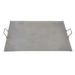 Visiodirect Planche à rotir barbecue 5 mm en Fer coloris Gris - 33 x 33 cm